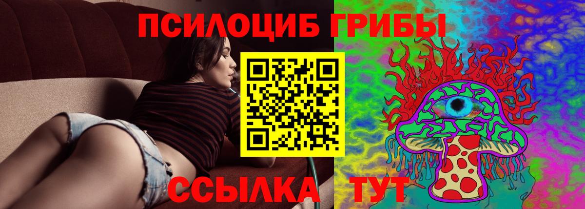 Галлюциногенные грибы Magic Shrooms Тобольск