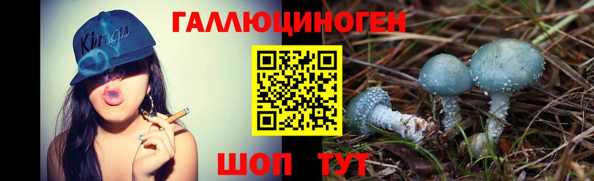 Тобольск  Галлюциногенные грибы Psilocybine cubensis  Вход с VPN 